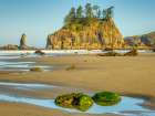 Washington, Olympic NP, Second Beach, seagrass covered rocks in tide pool, seastacks at low tide Art Print